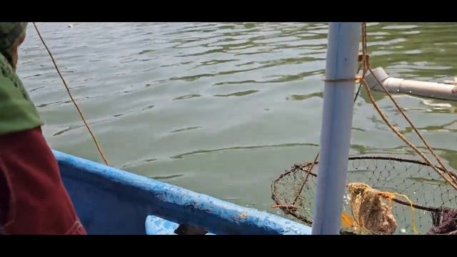 Орлиные танцы смотреть онлайн