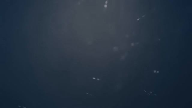 Топ 10 реакций на выпадение ножа