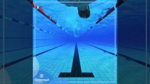 Почему плавание в бассейне олимпийских стандартов так популярен?