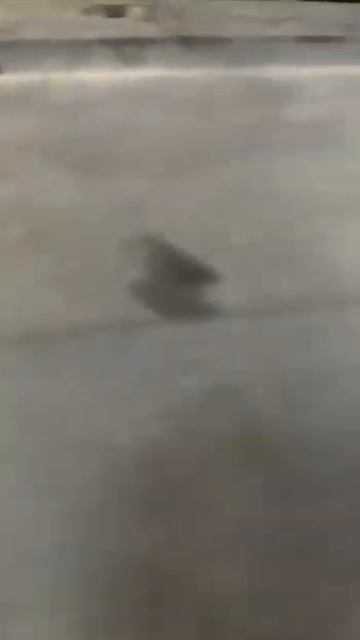 Как звучит новая цепь ГРМ (1NZ-FE/NZE 121) (После ремонта) смотреть онлайн