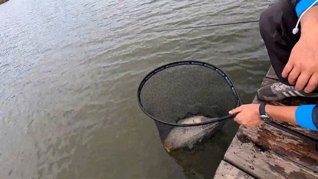 Толстые рыбины на лёгкую снасть.Рыбалка на фидер. Част смотреть онлайн