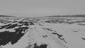 Озимая пшеница 2025 | Первая азотная подкормка