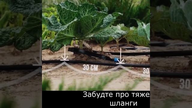 наборы капельного полива смотреть онлайн