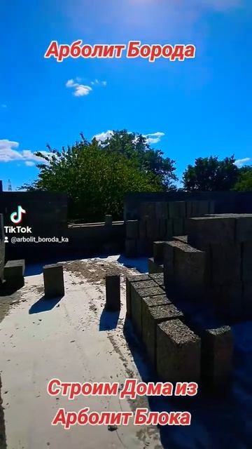строим дома из арболитовых блоков