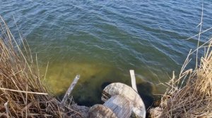 Нудисткий пляж Ростов-на-Дону