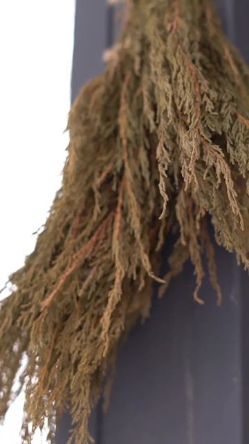 Услуги парения в lesecovillage.com смотреть онлайн