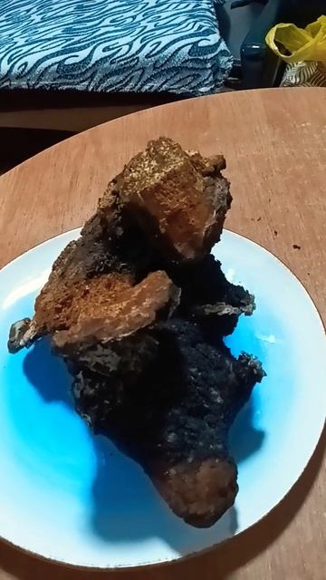 Чага Берёзовый гриб #чага #иммунитет #онкология #бере? смотреть онлайн