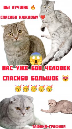 😻 Спасибо большое каждому из вас за поддержку нашего канала ❤️😘😻