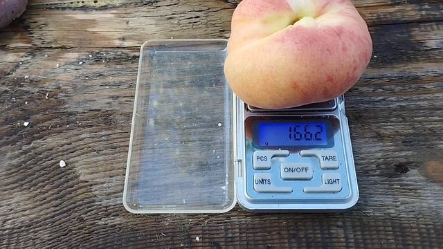 Персик Никитинский Брянск созрел . смотреть онлайн