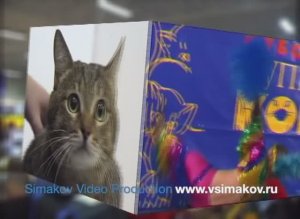 Шоу кошек Кубок Hill's 2005 год