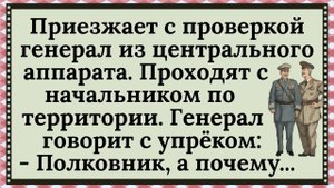 🐸 Как Генерал из инспекции до Поковника доколупался ✅анекдоты ✅юмор ✅смех