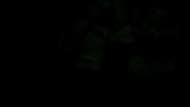 МОЙ РЕСТОРАН закусачная фредбера!!! Офис майка!!! бинзопила и майк!!!!!!!! смотреть онлайн