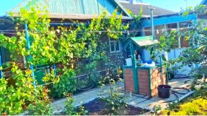 475 🏠 Купили старый дом.Живём в станице на юге. Приглашаем к нам в гости.