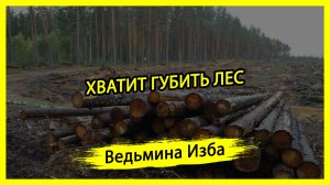 ХВАТИТ ГУБИТЬ ЛЕС. #ВЕДЬМИНАИЗБА ▶️ #МАГИЯ