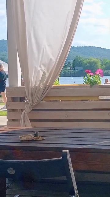 Прилетел пообедать🐤 #краснодарскийкрай #горячийключ смотреть онлайн