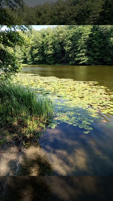 РЫБАЛКА НА МАГНИТ . Поисковый магнит двухсторонний F200? смотреть онлайн
