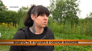 ЗАКОН О ЗАПРЕТЕ ПРОДАЖИ ЭНЕРГЕТИКОВ ДЕТЯМ ВСТУПИТ В С?