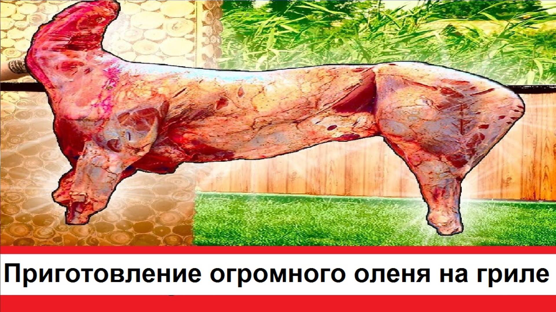 Приготовление огромного оленя запекаем на гриле