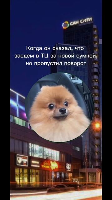 Как намекнуть? Новосибирск, Сан Сити, 1 этаж - Prima 🤍#сум? смотреть онлайн