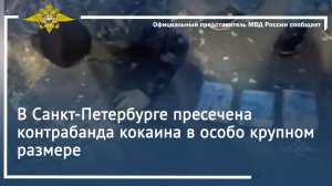 В Санкт-Петербурге пресечена контрабанда кокаина в особо крупном размере