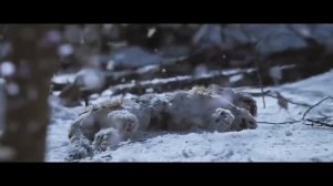 Heart Sound: Фильм "Великий Тигр" 2016