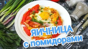 КАК ПРИГОТОВИТЬ ЯИЧНИЦУ С ПОМИДОРАМИ? 100% НАТУРАЛЬНЫЙ И ПОЛЕЗНЫЙ ЗАВТРАК НА КАЖДЫЙ ДЕНЬ 🍽️🍽️🍽️