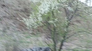 Мы, в Чемале. Обходим территорию