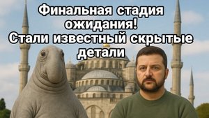 Финальная ПРЯМАЯ ОЖИДАНИЯ СТАЛИ ИЗВЕСТНЫ ВАЖНЫЕ ДЕТАЛИ!