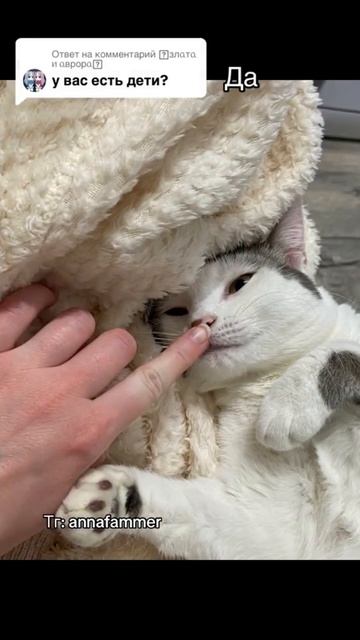 Ответ на вопрос «есть ли у меня дети» смотреть онлайн