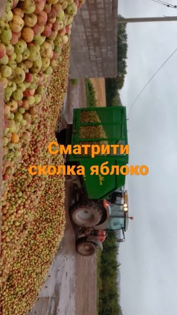 работа в англия