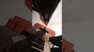 Вариация на тему рнп «Во поле берёза стояла». #piano #music #?