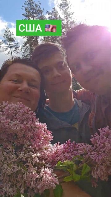 Манито парк😍 в этом парке есть место где растёт толь? смотреть онлайн