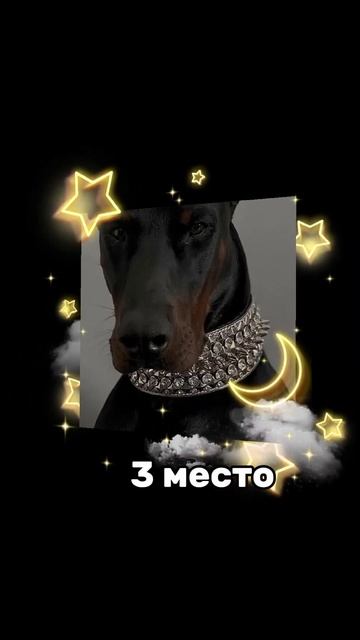 🥧 #булочки #токабока #sorts #tocaboca #бани #тока #art #smartphone #roblo смотреть онлайн