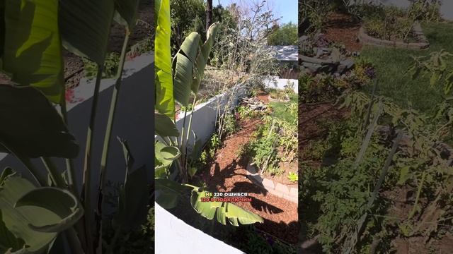 Уличное освещение на участке в Лос-Анджелесе