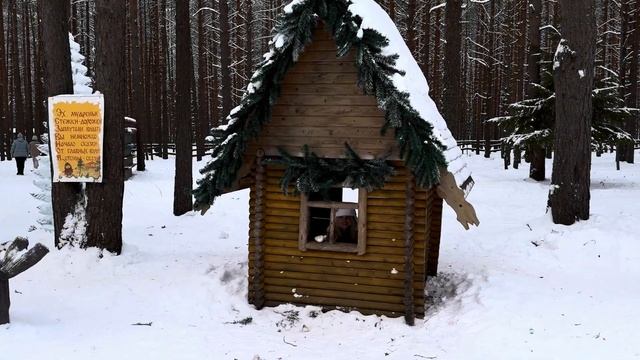 ВЕЛИКИЙ УСТЮГ | НОВЫЙ ГОД В ГОСТЯХ У ДЕДА МОРОЗА смотреть онлайн