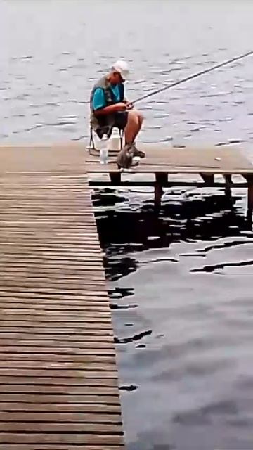 #турбаза#озеромариново#рыбалка#самыйзападныйрегионр? смотреть онлайн