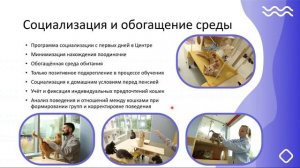 Практика создания комфортной среды для кошек