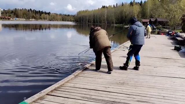 поимка смотреть онлайн