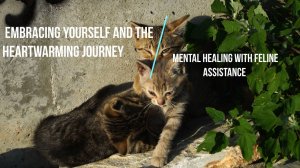 Story # 47:Embracing Yourself and the Heartwarming Journey of Mental Healing with Feline Assistance