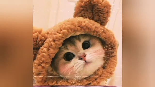 нервы-я не хочу без тебя спать смотреть онлайн