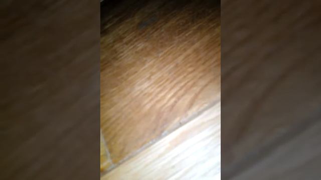 Я хочу щоб ви могли бути першим кроком на шляху до успіху на гурті приєднуйтесь до нас з вами як зр