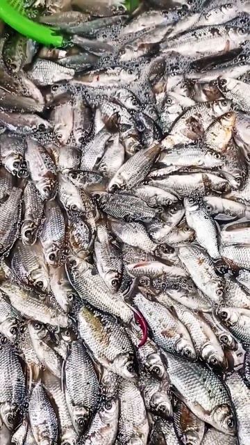 Мулька. Мелкая рыбка смотреть онлайн