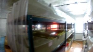 РАЗВЕДЕНИЕ АВСТРАЛИЙСКИХ КРАНОКЛЕШНЕВЫХ РАКОВ. ОБРАТНАЯ СТОРОНА. ПРОБЛЕМЫ В УЗВ.