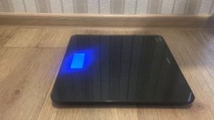 Обзор напольных весов Aceline SCB-30P