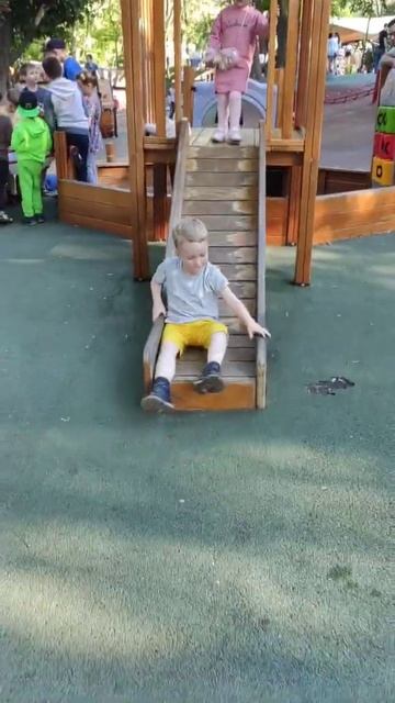 Лев катается на горке в парке Зелёный Гай смотреть онлайн