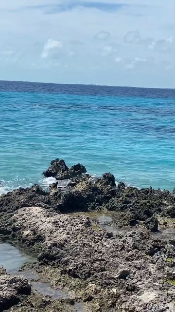 Красота Карибского моря 🌊 #карибскоеморе #куба #экску