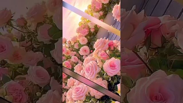 #доброеутро ##добрыйдень#счастливогодня