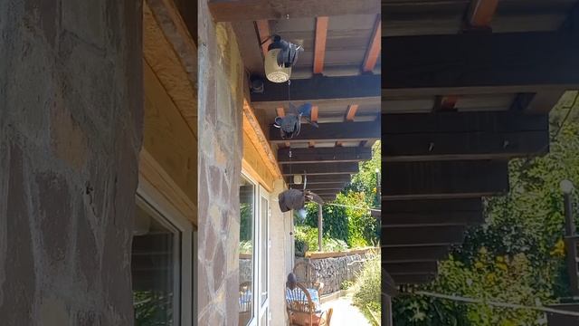 Алматы Гостевой дом 07.24г. #travel #природаказахстана #отды смотреть онлайн