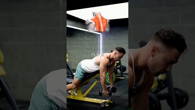 😱Самые ЛУЧШИЕ упражнения на все мышечные группы @tema_fi
