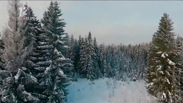 Начало эфира после профилактики 12 канала HD (Омск). 14.04.2021 смотреть онлайн